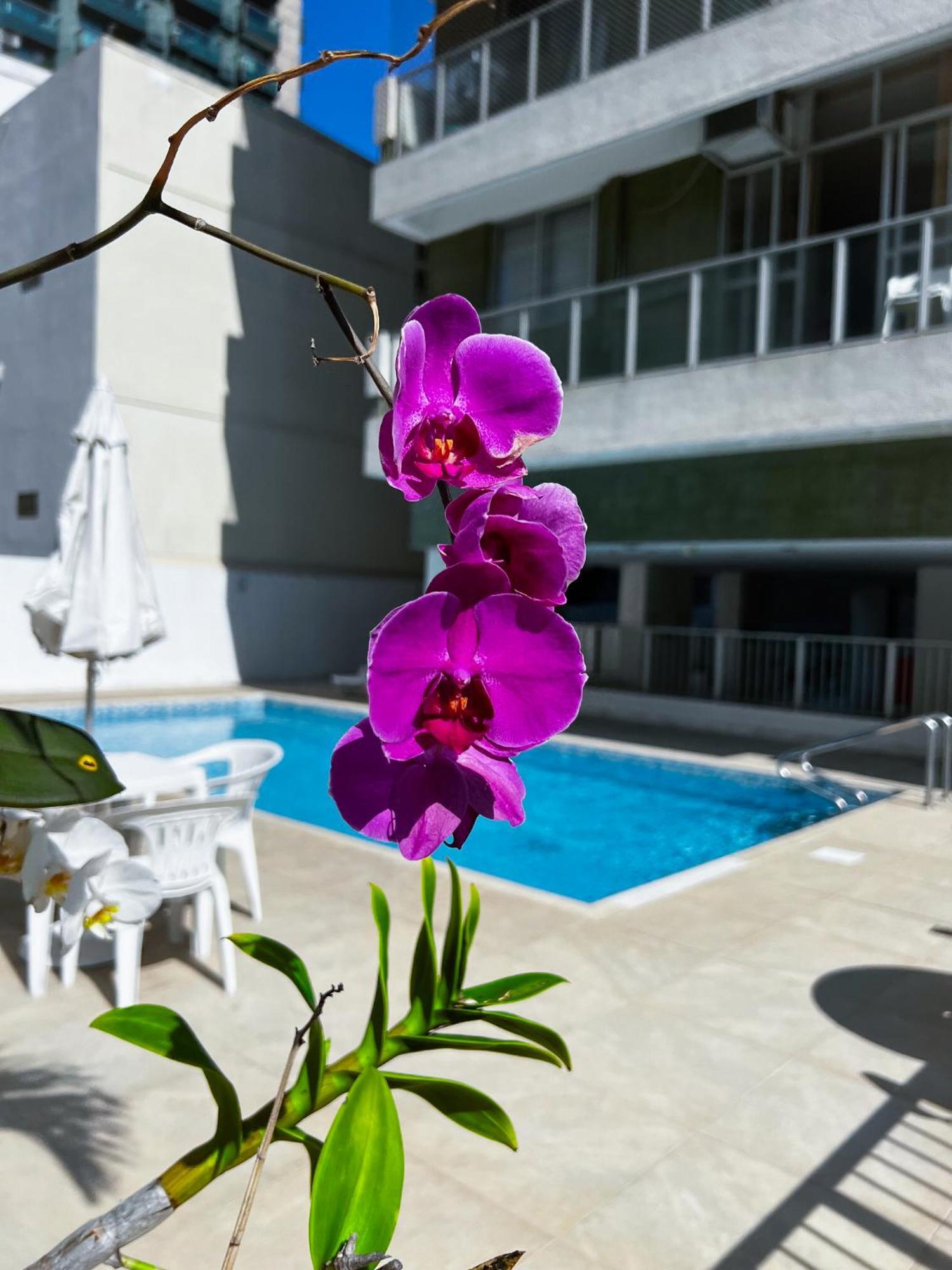 Apartamento Unhotel Style Carioca Em Ipanema Piscina, E Metro *